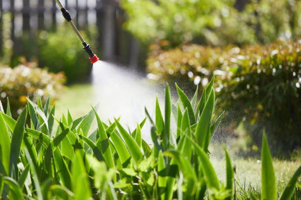 24/7 Emergency Mosquito Control experts in Scanlon, MN